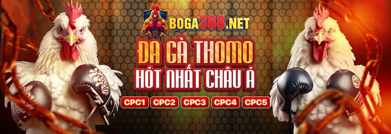 Lời kêu gọi hành động cuối cùng để nhận ưu đãi new88011 casino