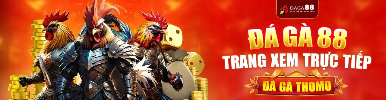 Hình ảnh chính sách cookie của new88011 casino, biểu tượng bảo mật dữ liệu và quyền riêng tư