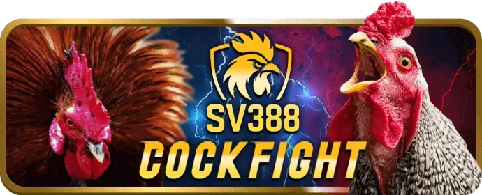 Cá cược thể thao new88011 casino